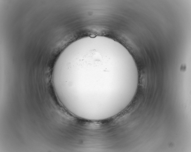 X0000090450318200708102055