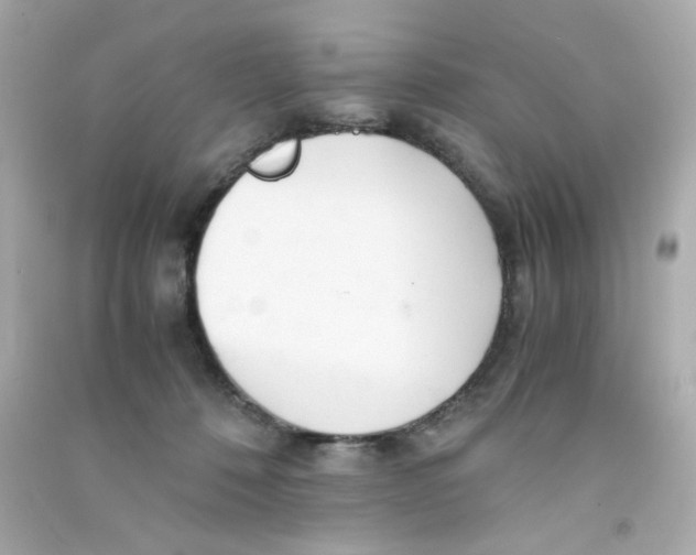 X0000090450320200708102055