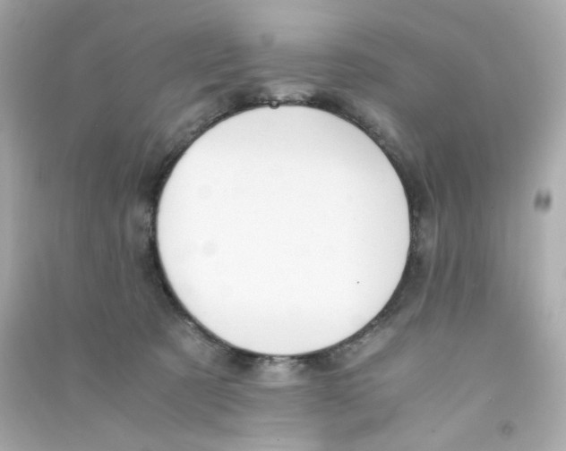 X0000090450321200708102055