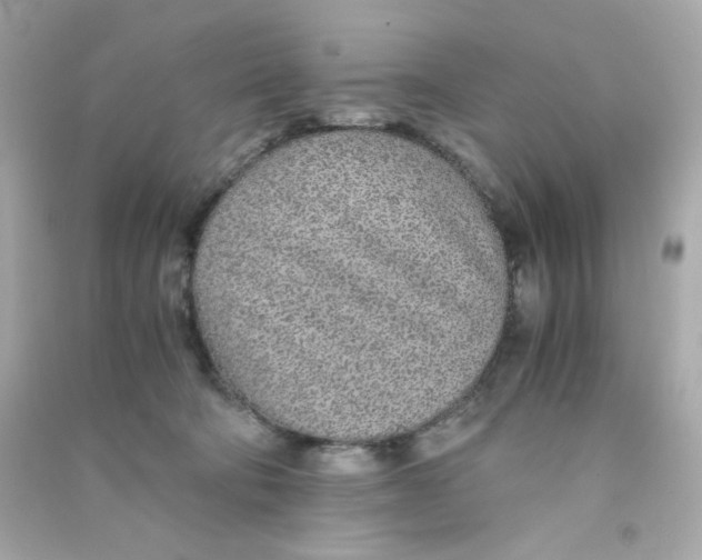 X0000090450322200708102055