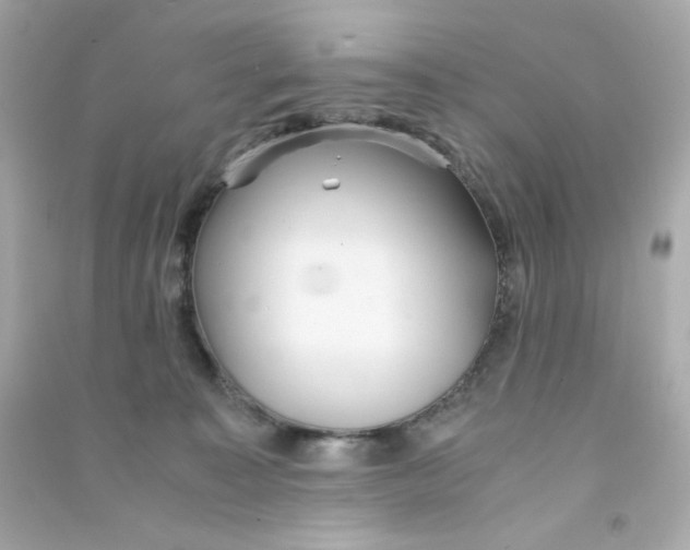 X0000090450323200708102055