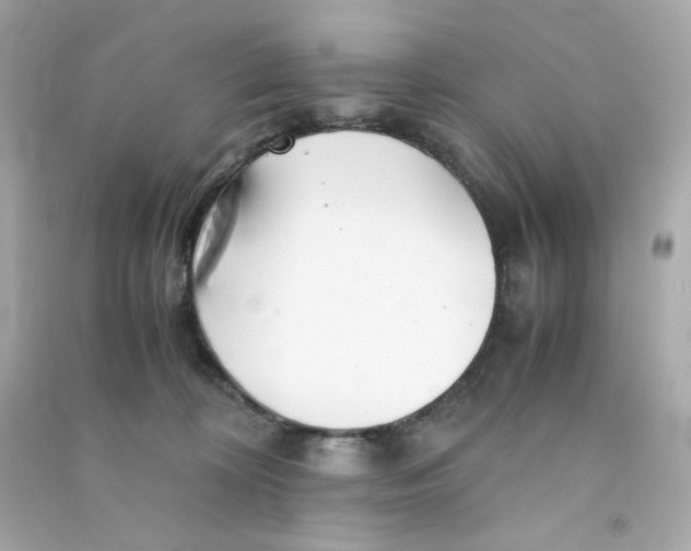 X0000090450324200708102055