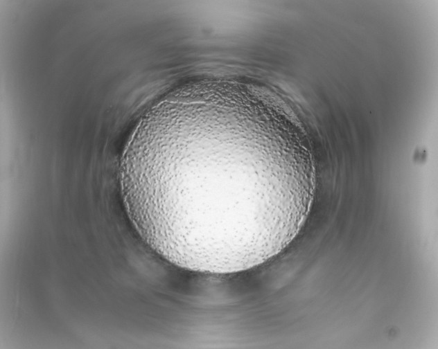 X0000090450325200708102055