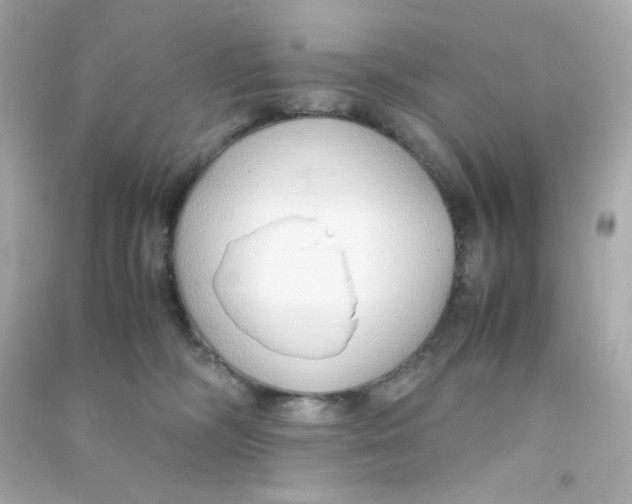 X0000090450326200708102055