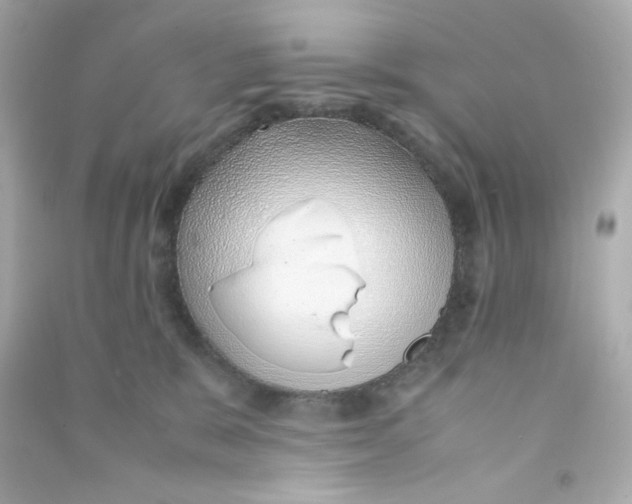 X0000090450327200708102055