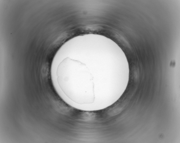 X0000090450328200708102055