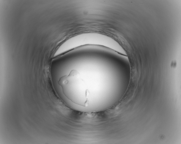 X0000090450329200708102055