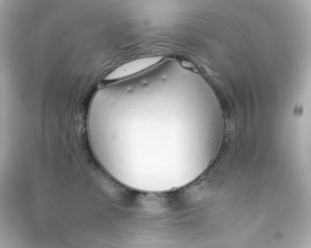 X0000090450331200708102055