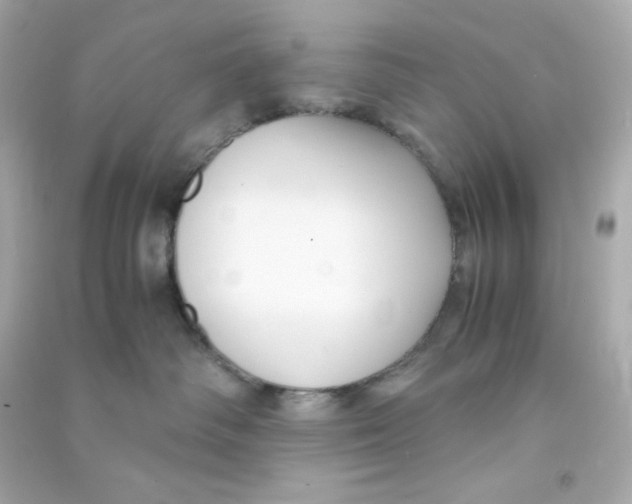 X0000090450334200708102055