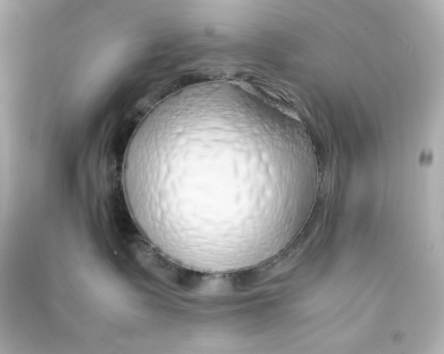 X0000090450335200708102055