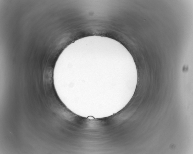 X0000090450336200708102055