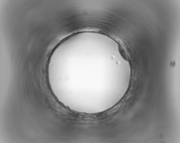 X0000090450337200708102054