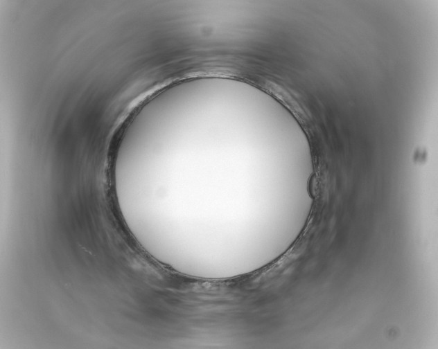 X0000090450338200708102054