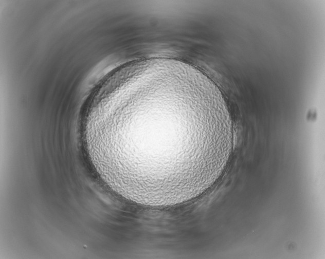 X0000090450339200708102054