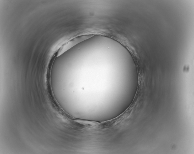 X0000090450340200708102054