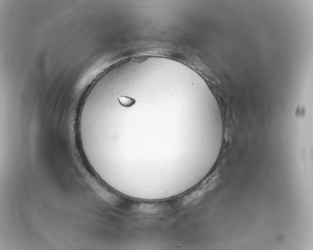 X0000090450341200708102054