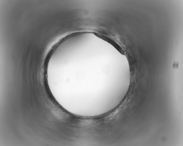 X0000090450342200708102054