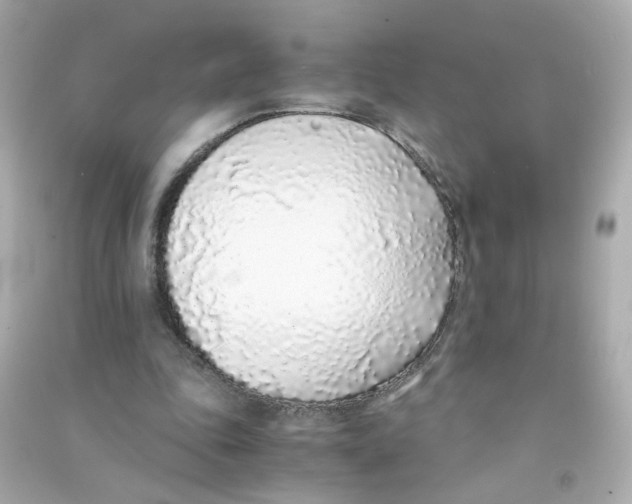 X0000090450343200708102054