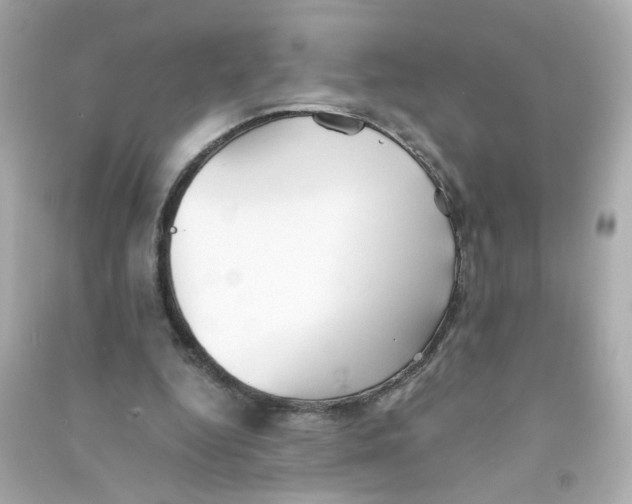 X0000090450344200708102054