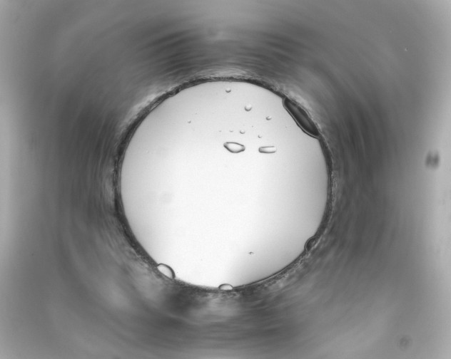 X0000090450345200708102054