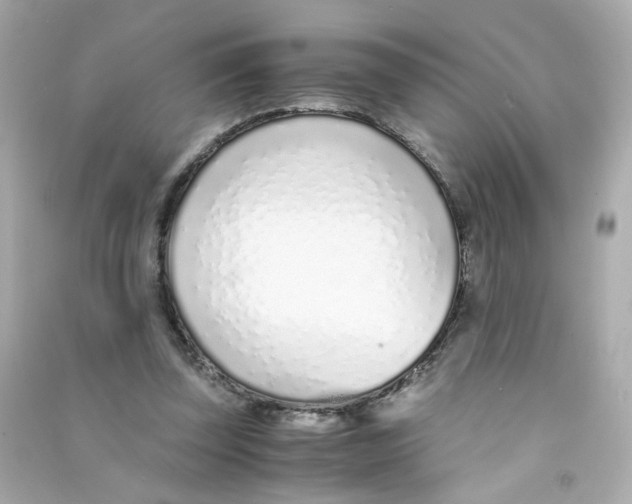 X0000090450347200708102054