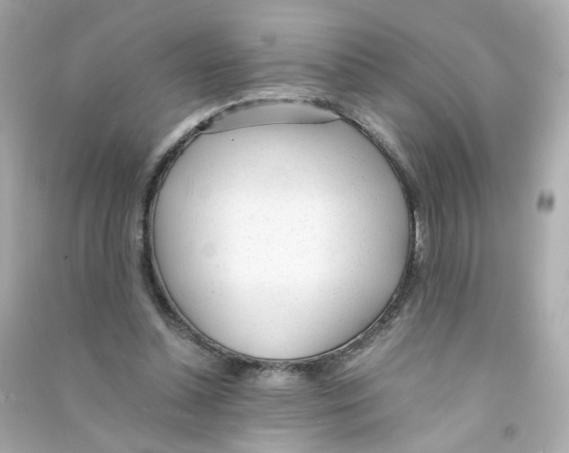 X0000090450348200708102054