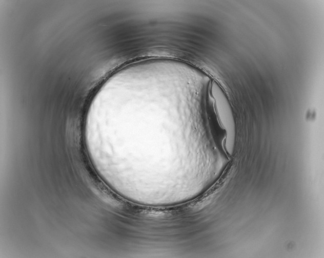 X0000090450349200708102054