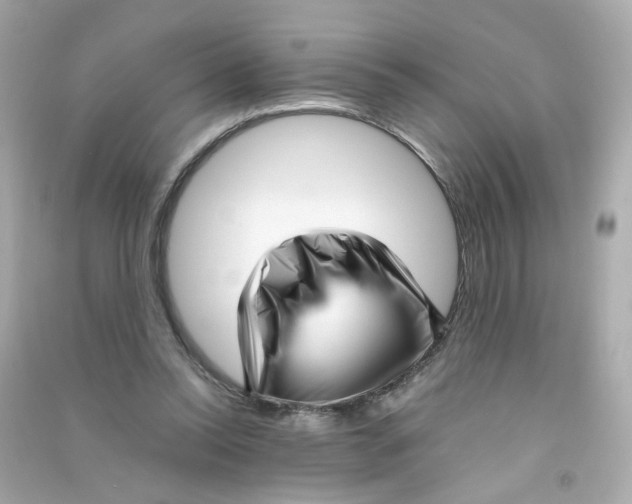 X0000090450350200708102054