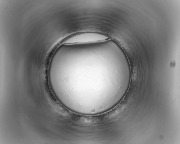 X0000090450351200708102054