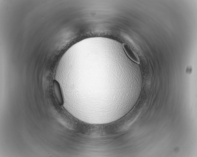 X0000090450356200708102054