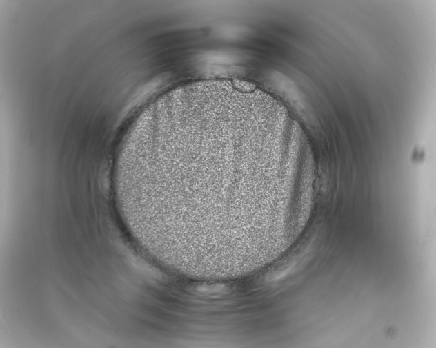 X0000090450357200708102054