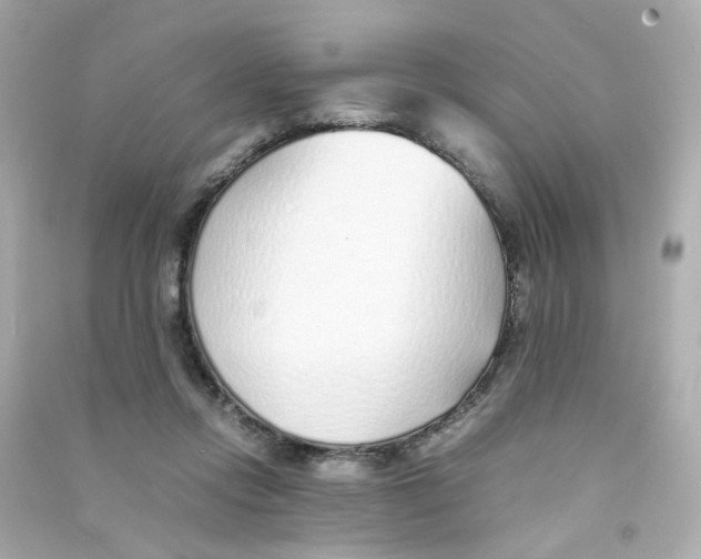 X0000090450358200708102054