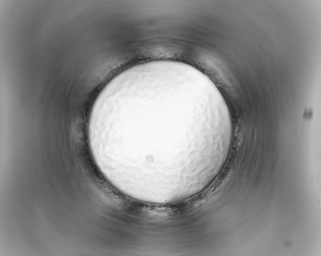 X0000090450359200708102054