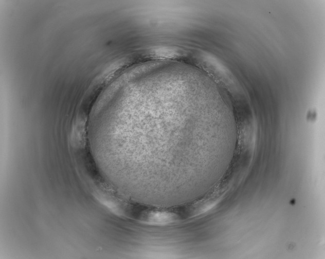 X0000090450360200708102054