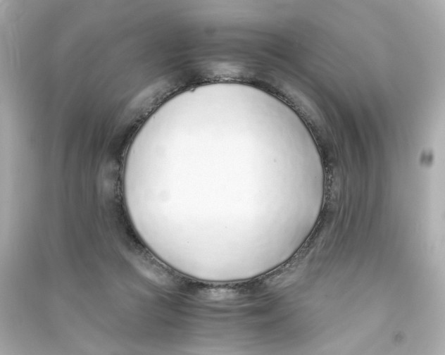 X0000090450361200708102054