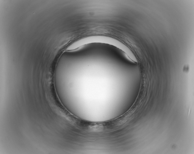 X0000090450362200708102054