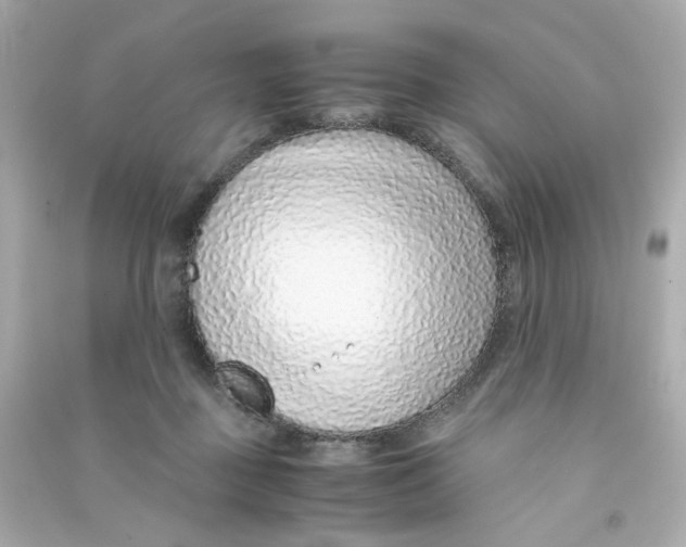 X0000090450363200708102054