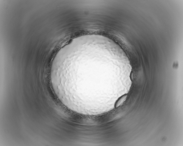 X0000090450365200708102054