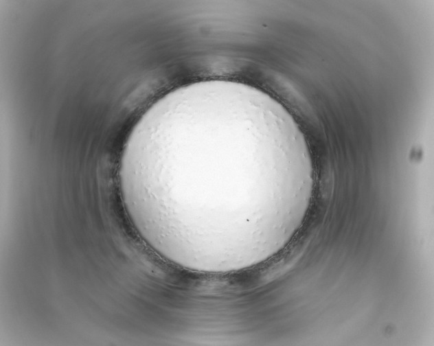 X0000090450366200708102054