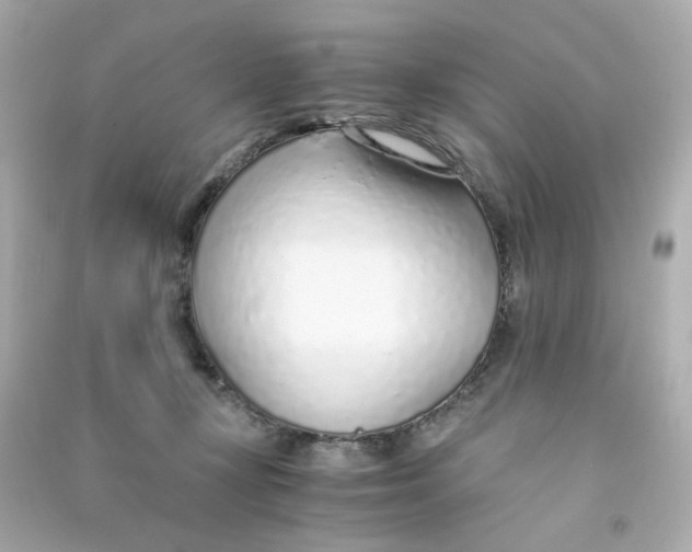 X0000090450367200708102054