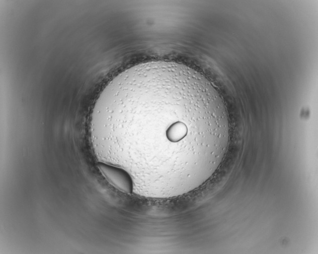 X0000090450368200708102054