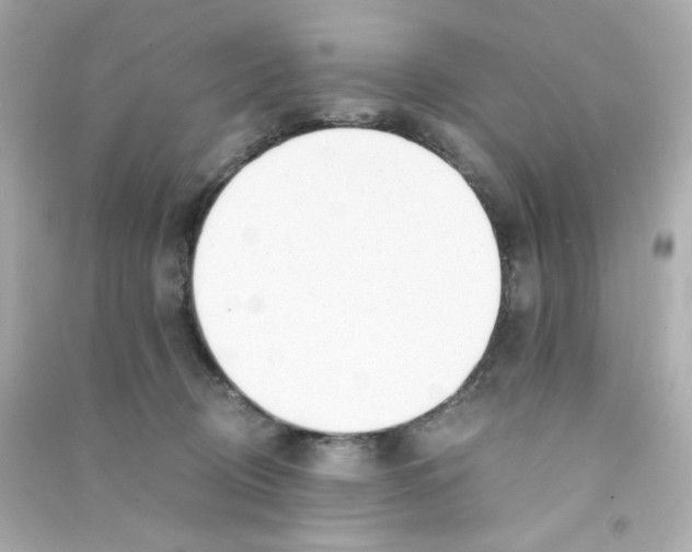 X0000090450370200708102055