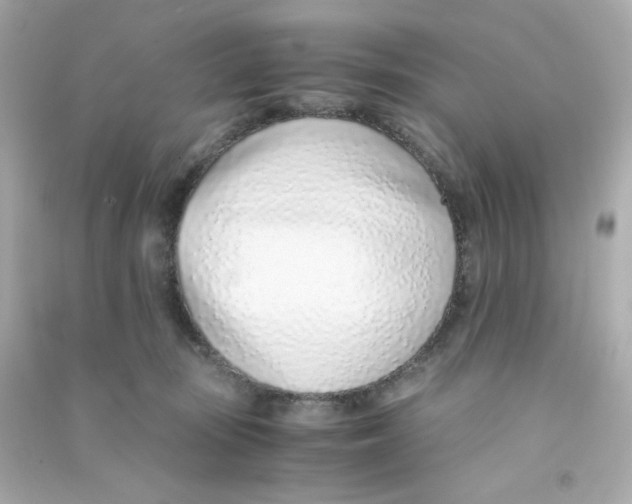 X0000090450371200708102055