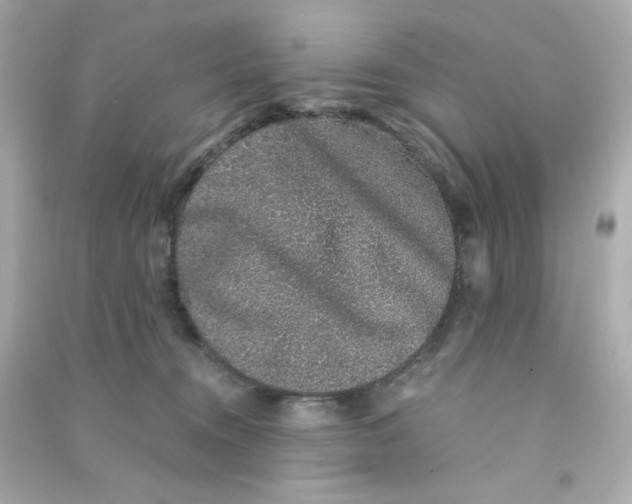 X0000090450372200708102055