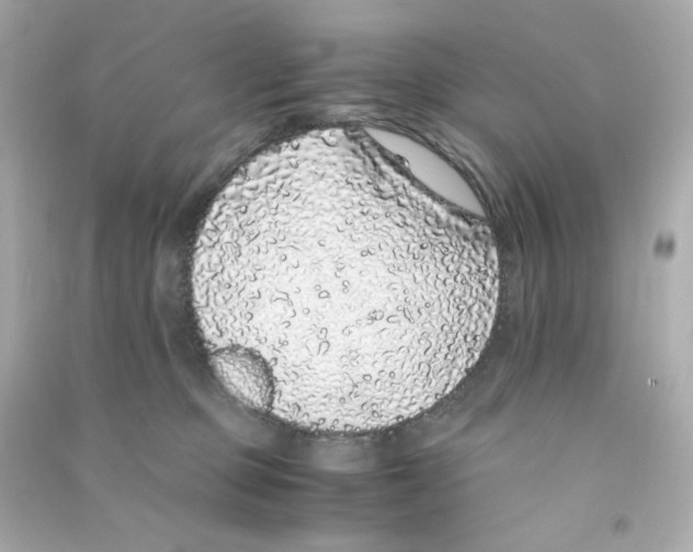 X0000090450373200708102055