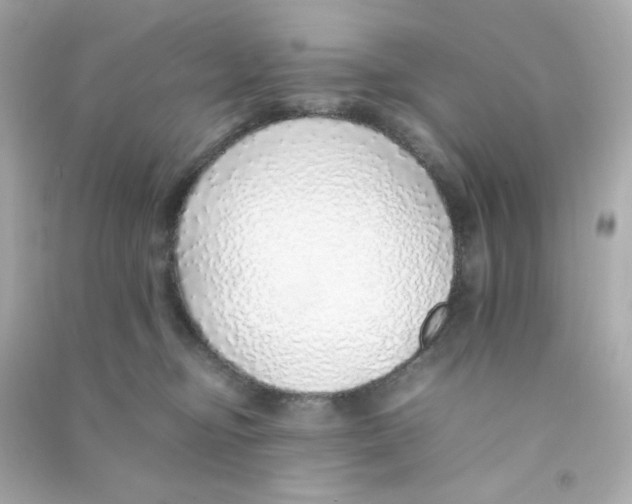 X0000090450374200708102055