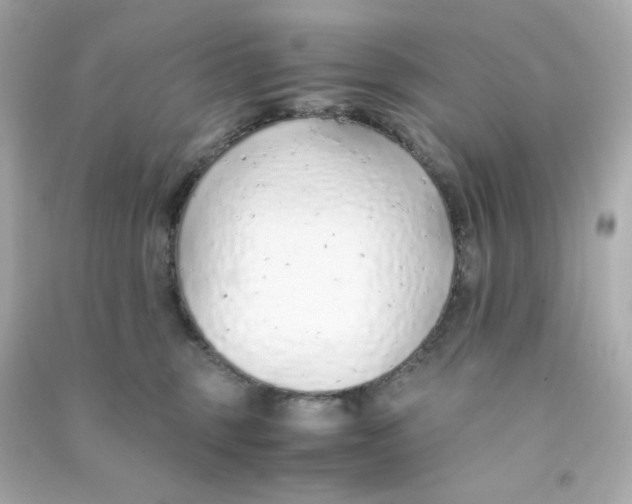 X0000090450375200708102055