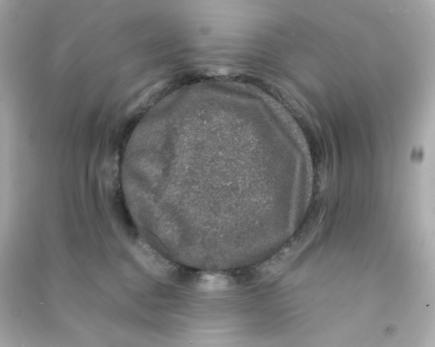 X0000090450376200708102055