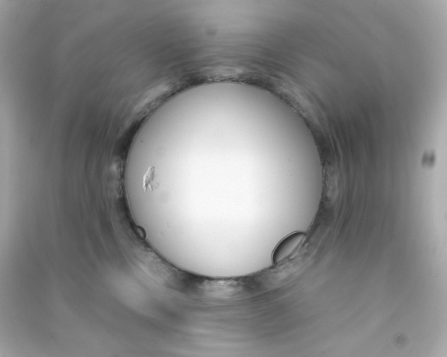 X0000090450378200708102055