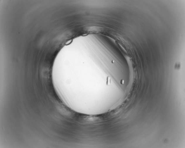 X0000090450379200708102055